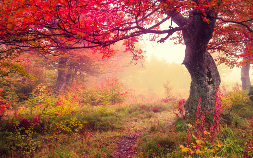 876290 (a): :2560x1600
